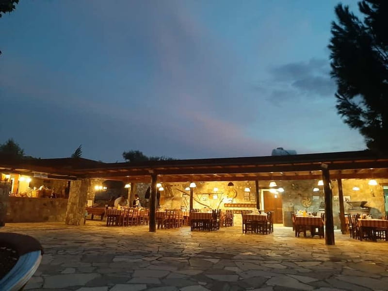 Paphos/Limassol: Donkey Farm Day Trip with Lunch & Tastings - Practical tips for a smoother day