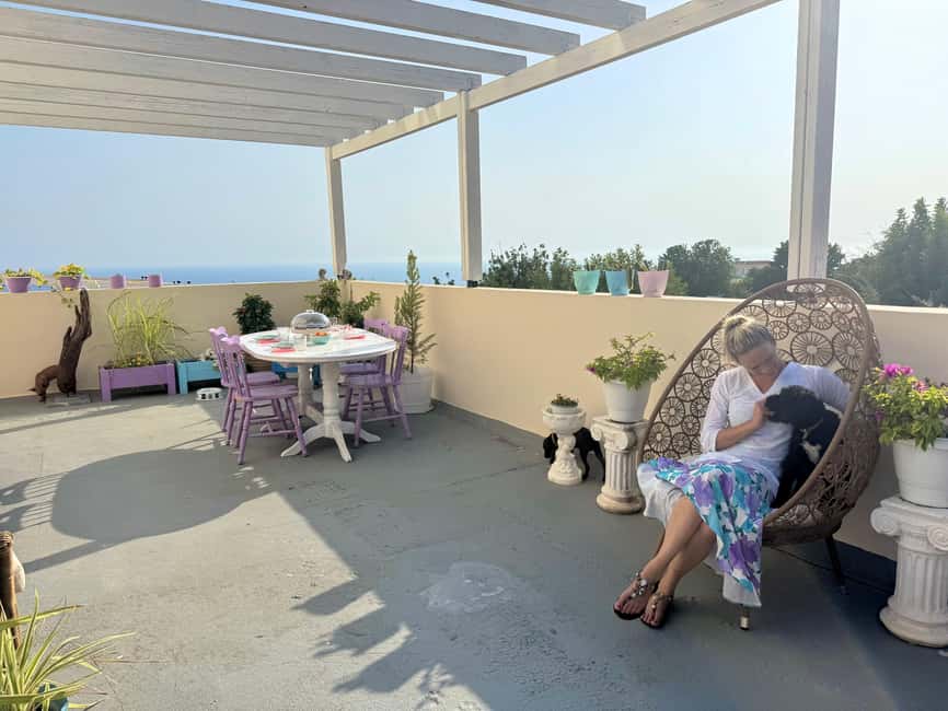 Paphos/ Peyia: Coffee, Cake, and Cuddles with Rescue Puppies - Key points at a glance