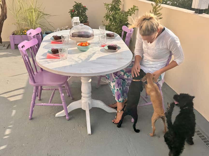 Paphos/ Peyia: Coffee, Cake, and Cuddles with Rescue Puppies - Booking details worth knowing before you go