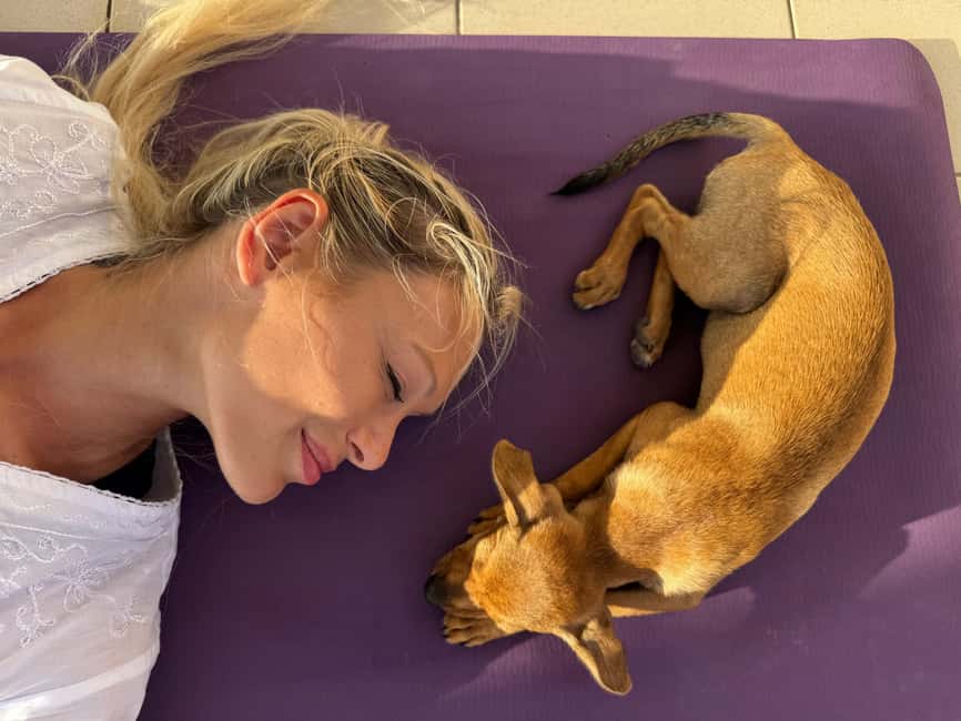 Paphos (Peyia): Mindful Yoga with Rescue Puppies - Key points at a glance