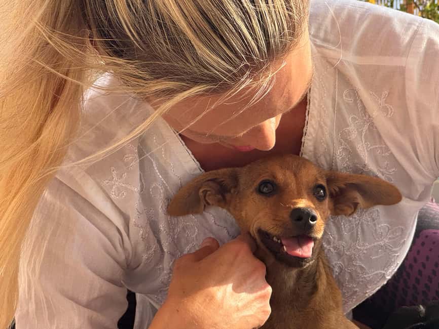 Paphos (Peyia): Mindful Yoga with Rescue Puppies - Practical details before you book