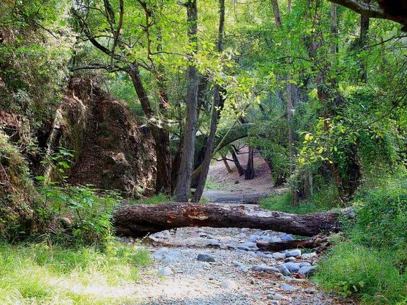 Paphos: Scenic Troodos Mountains Tour with Wine Tasting - Key things to know before booking