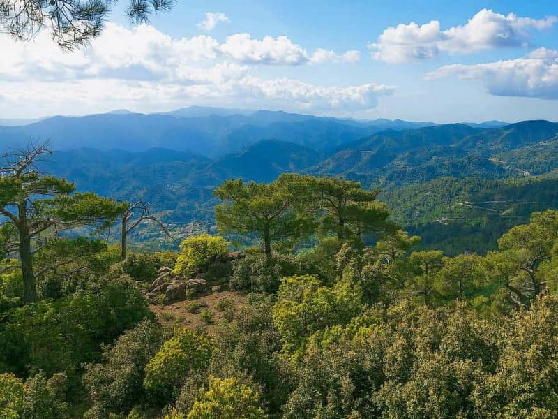 Paphos: Scenic Troodos Mountains Tour with Wine Tasting - Why this mountain day works from Paphos