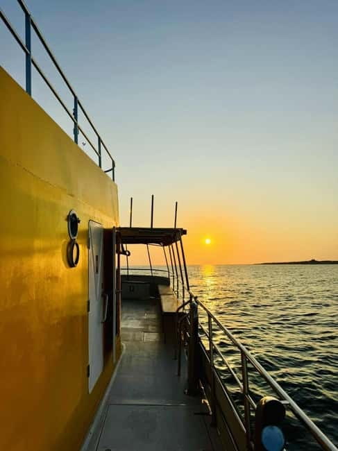 Paphos: Sunset Cruise, Turtle Watching, & Unlimited Drinks - Turtle watching from the glass-bottom boat