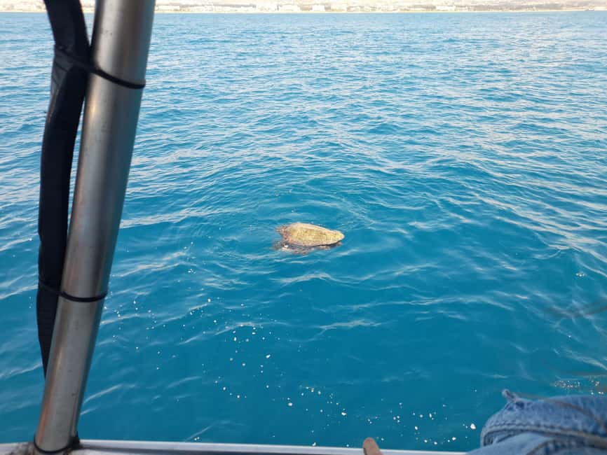Paphos: The Yellow Glass-Bottom Boat Cruise Swim & Snorkel - Swimming and snorkeling at the Blue Lagoon