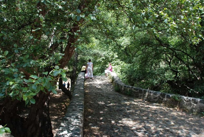 Paphos: Troodos-Kykkos Land Rover Treasure Jeep Safari - Why this safari is worth considering from Paphos