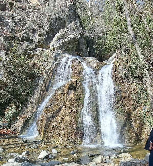 Paphos: Troodos Mountains Jeep Tour with Wine Tasting - Forest tracks and Chantara Waterfall