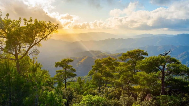 PAPHOS: Troodos Mountains "Monasteries & Villages" by coach - Key points at a glance