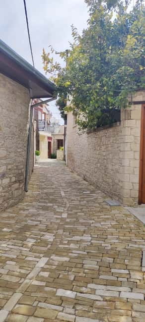 Paphos: Troodos Mountains Villages Tour with Wine Tasting - Leaving Paphos for the Troodos Mountains