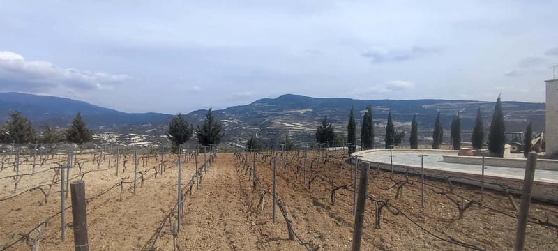 Paphos: Troodos Mountains Villages Tour with Wine Tasting - Tzelefos Bridge or Another Mountain Landmark