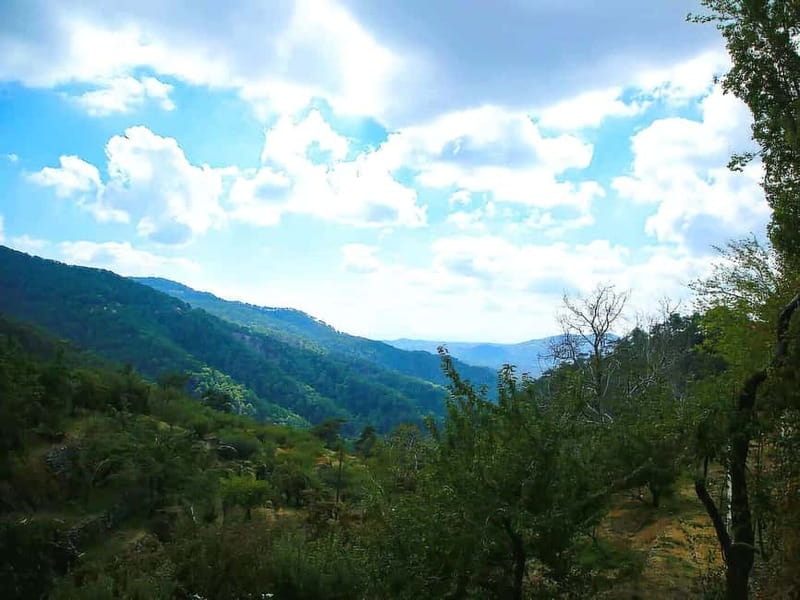 Paphos: Troodos, Omodos & Kykkos Monastery Full-Day Tour - The essential facts at a glance