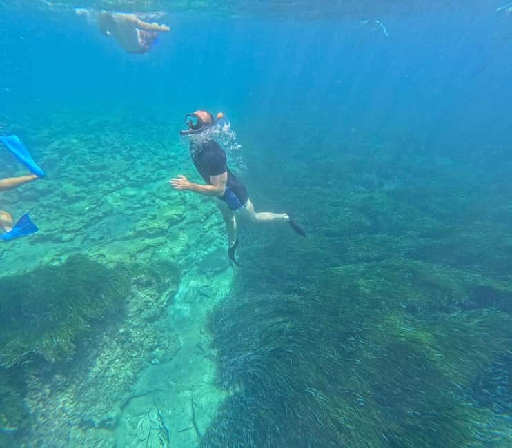 Paphos: Turtle-Watching Snorkeling Sea Scooter Trip - Timing your turtle trip around the seasons