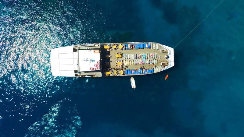 Paphos: Wave Dancer Half-Day Cruise with BBQ and Open Bar - Who should book the Wave Dancer?