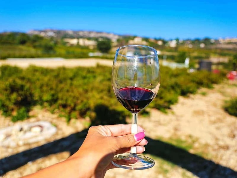 Paphos: Wine Tour – Vineyards, Tastings & Scenic Views - Key points to know before booking