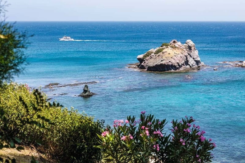 Paphos: Zoo Visit and Blue Lagoon Cruise with Guide & Lunch - A full day, but two very different moods