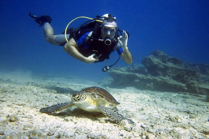 Private Discovery Dive + Photos & Videos - Key points before you book