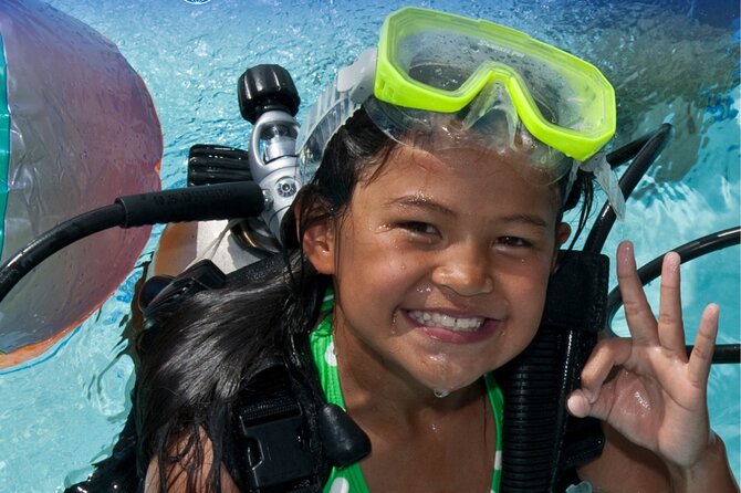 Private Discovery Scuba Diving with Sea Turtles - Green Bay Beach and the search for turtles