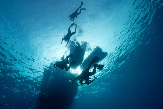 Private Discovery Scuba Diving with Sea Turtles - What you may see beneath the surface