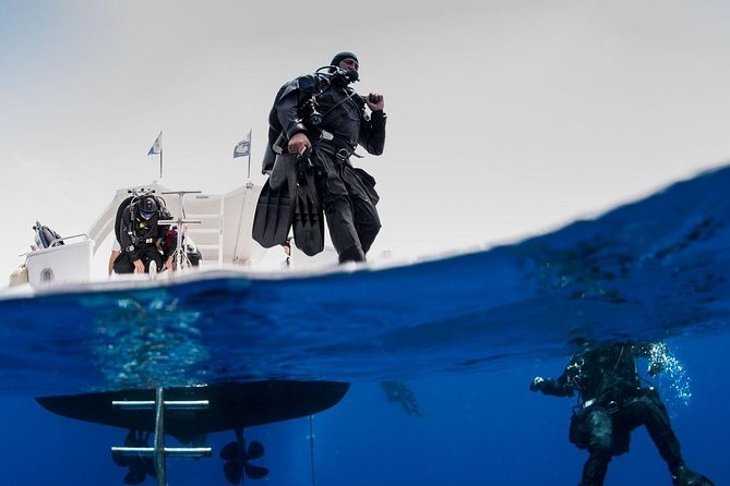 Private Diving at Zenobia Wreck in Larnaka - Key points at a glance