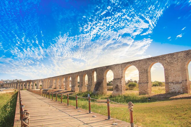 Private Full-Day Tour in Larnaca with Hotel Pick Up - Two hours at Camel Park