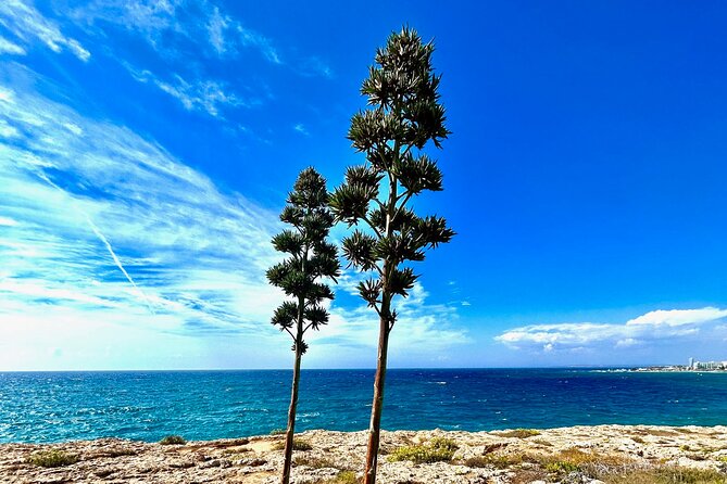 Private guided - Explore the Wonders of Cape Greco - Bridge of Koraka and Agioi Anargyroi Chapel