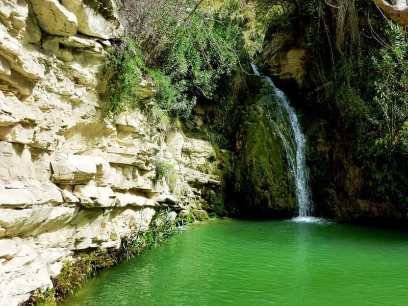 Private Jeep Safari Turtle Adventure & Adonis Waterfalls - A private Jeep route from Paphos to the coast