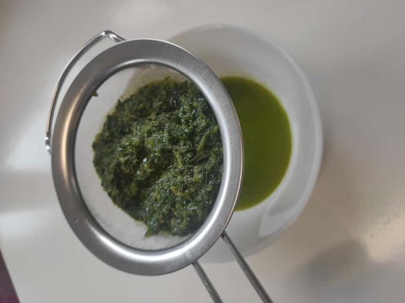 Private Kombucha Making Workshop in Cyprus - Key Points Before You Book