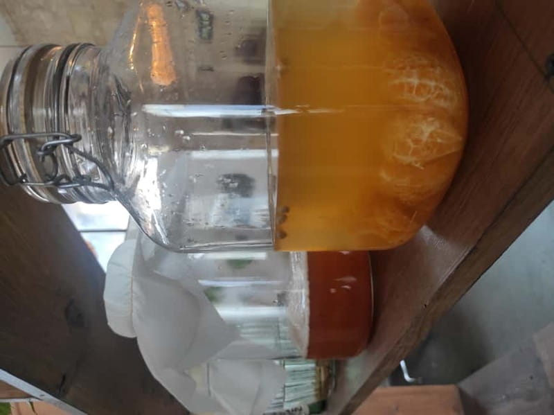 Private Kombucha Making Workshop in Cyprus - Moving From Basic Brew to Better Flavors