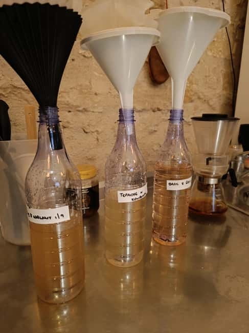 Private Kombucha Making Workshop in Cyprus - Who Will Enjoy This Workshop Most