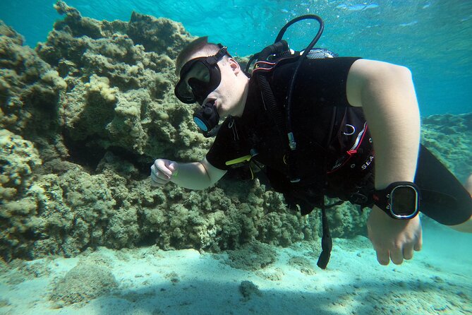Private Scuba Diving Experience in Cyprus - What happens during the three-hour outing