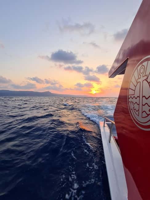 Private Snorkeling Cruise – Explore Fish & Hidden Seabeds - Fruit, wine, and a simple onboard lunch atmosphere