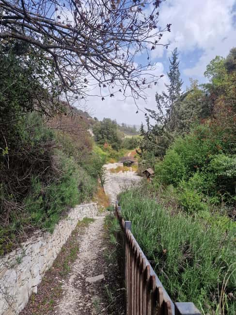 PRIVATE TOUR | Troodos Mountain: Waterfall, Villages & Lunch - The meze lunch: come hungry