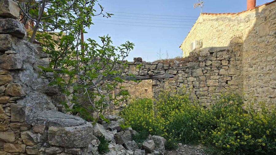 PRIVATE TOUR | Troodos Mountain: Waterfall, Villages & Lunch - Omodos Village: coffee in the square