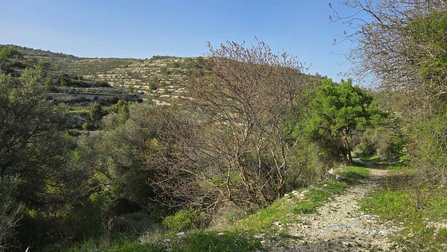 PRIVATE TOUR | Troodos Mountain: Waterfall, Villages & Lunch - The tradeoff: comfort versus time on the road