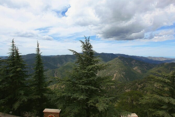 Private Troodos, Kykkos & Aphrodite's Birthplace from Limassol - Lambouri Winery and Cyprus in a glass