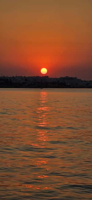 Protaras Blue Lagoon Sunset Tour with Pizza & Champagne - Who will enjoy the Napa King cruise most