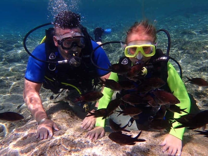 Protaras: Bubblemaker Diving Course & 2-Meter Dive - Shallow water practice before Blue Bay