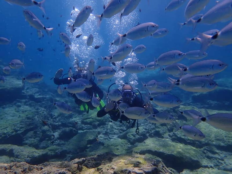 Protaras: Cape Grecko Single Dive for Qualified Divers - Why Cape Greco works well for a short scuba outing