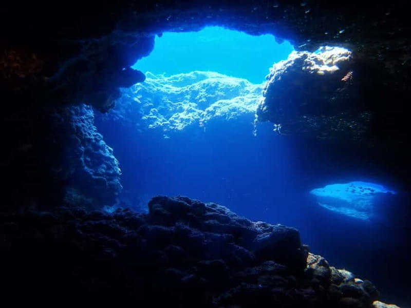 Protaras: Cape Grecko Single Dive for Qualified Divers - Practical planning for the three-hour schedule