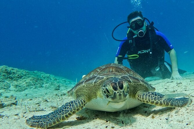 Protaras: Discover Scuba Diving For Beginners 2 Dives - Key points to know before you book