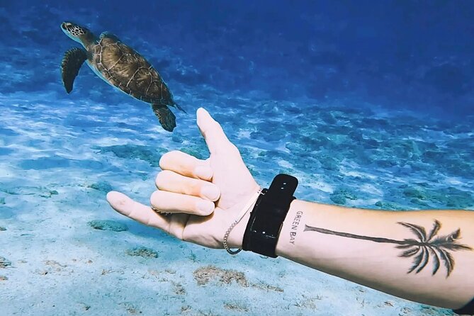 Protaras: Discover Scuba Diving For Beginners 2 Dives - The second session adds statues and more marine life