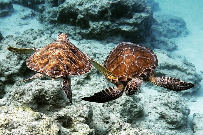 Protaras: Discover Scuba Diving For Beginners 2 Dives - Practical details that can save you trouble