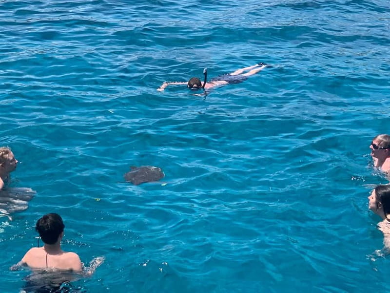 Protaras: Harmony | Value Turtle Luxury Boat with Slide - Five reasons this cruise earns attention