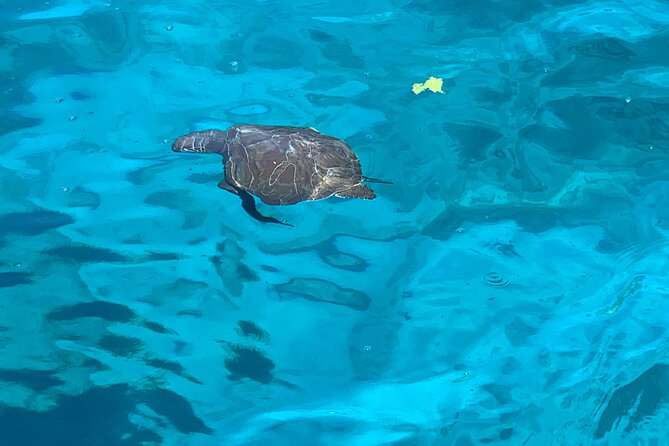 Protaras: St Georgios Presidential Cruise BBQ & 1 drink. 16+ - Swimming in the Blue Lagoon
