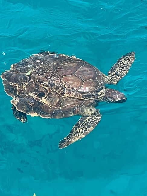 Protaras: Waterworld Turtle Cove Cruise with Swim Stops - Cape Greco’s churches, bridges, and shrines