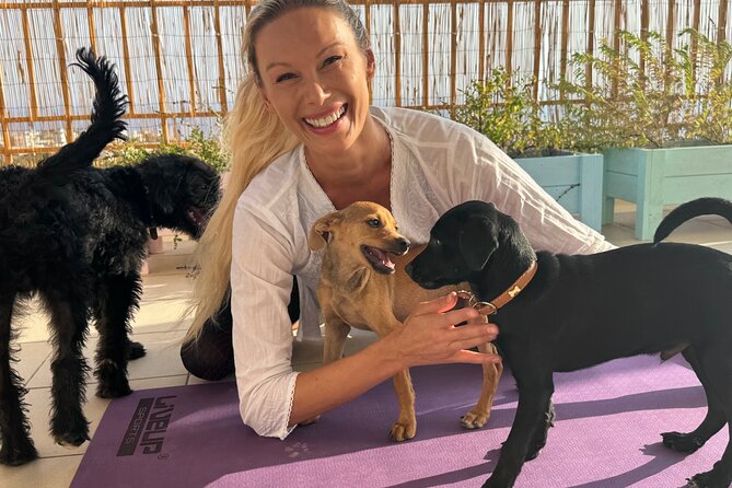 Puppy Yoga in einer Meerblick-Villa bei Paphos (Kleingruppe) - What the $42.33 price gets you