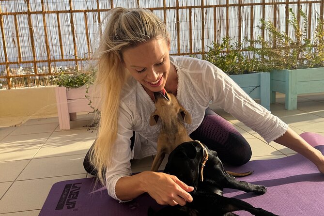 Puppy Yoga in einer Meerblick-Villa bei Paphos (Kleingruppe) - Garden pergola or indoor studio