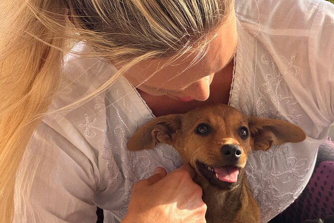 Puppy Yoga in einer Meerblick-Villa bei Paphos (Kleingruppe) - Tea, photos, and rescue questions afterward