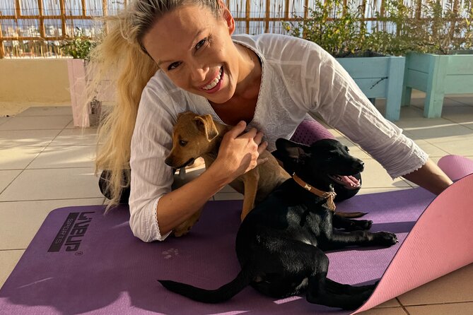 Puppy Yoga in einer Meerblick-Villa bei Paphos (Kleingruppe) - Who will enjoy Puppy Yoga in Peyia