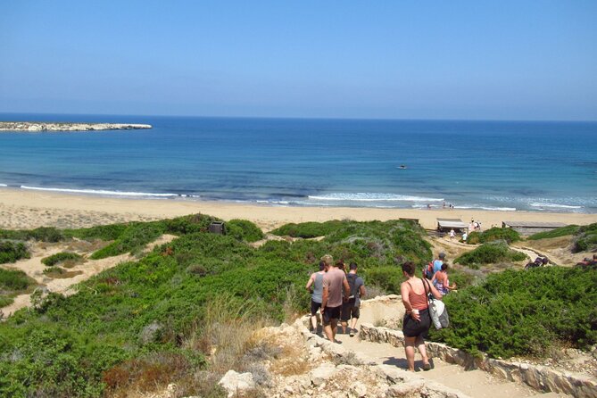 Quad or Buggy Tour from Coral Bay to Akamas Forest - Pano Arodes, a quiet village finish